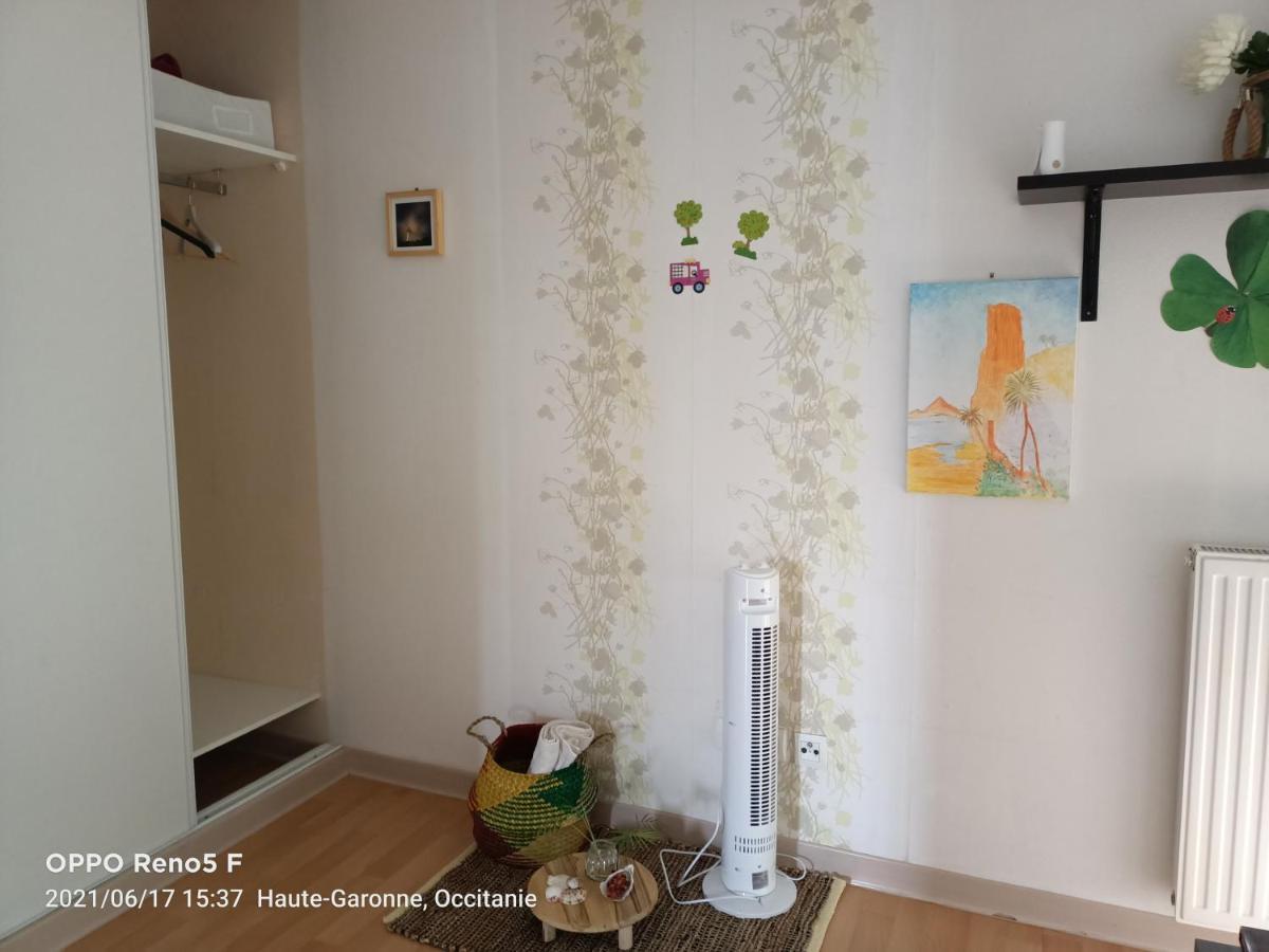 Vivaldi Bed & Breakfast Тулуза Екстериор снимка